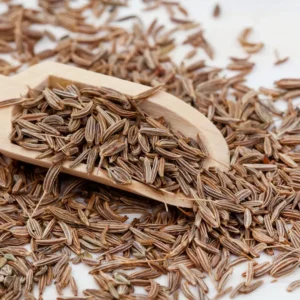 Premium Jeera | Whole Cumin Seeds | Fresh, Aromatic & Natural